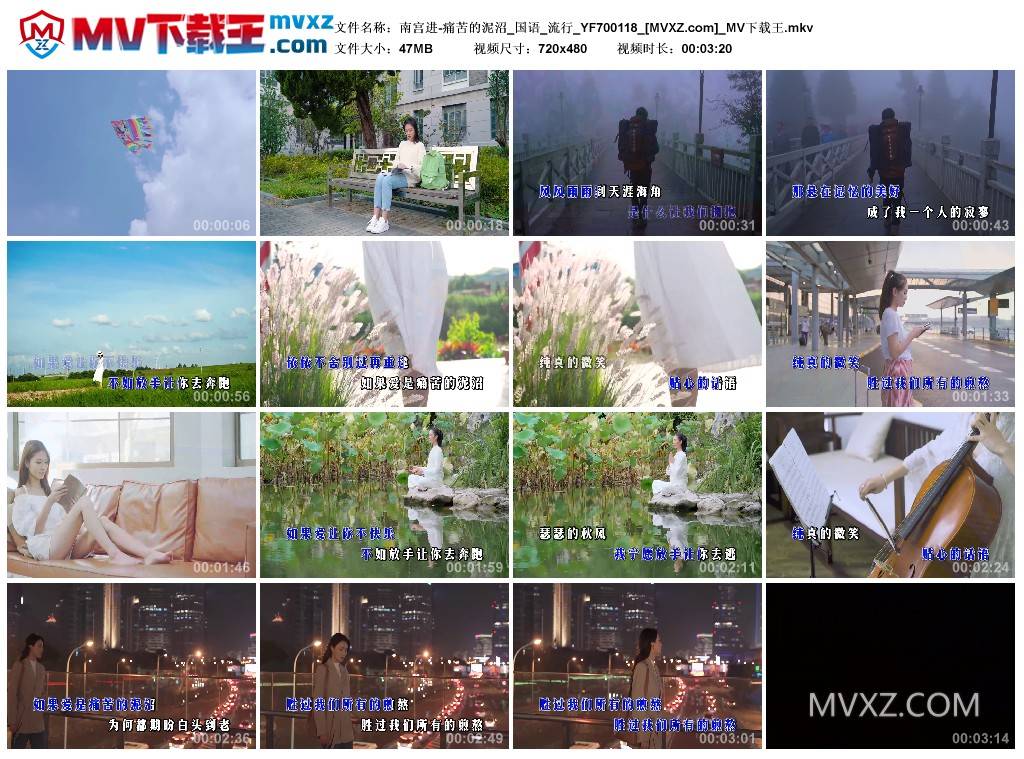 南宫进-痛苦的泥沼_国语_流行_YF700118